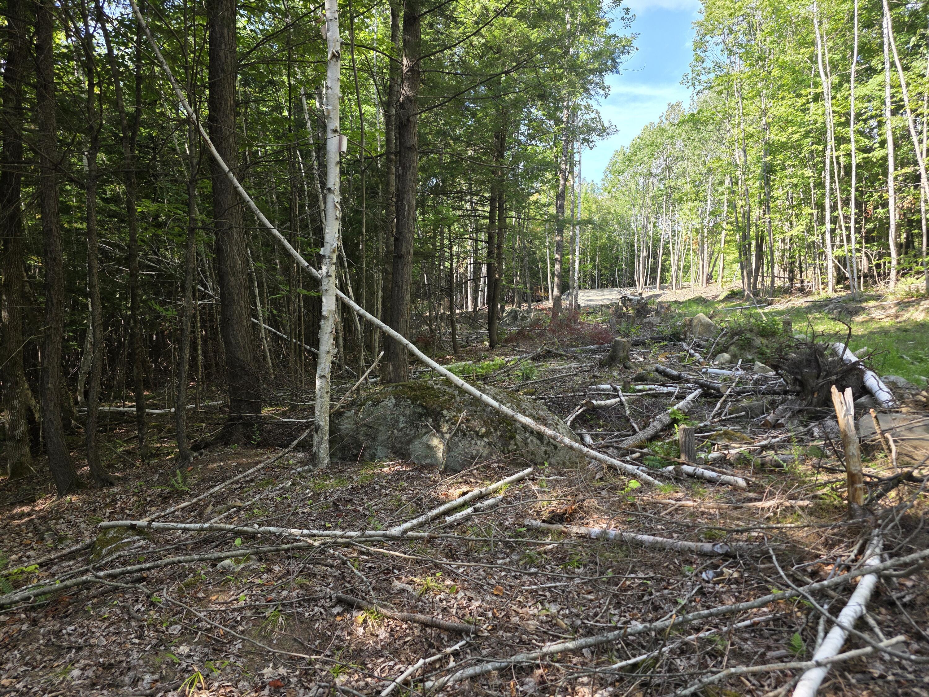 M9-l29 B Beckwith Road Cornville, ME 04976 - Photo 10 of 29 20260826_155730