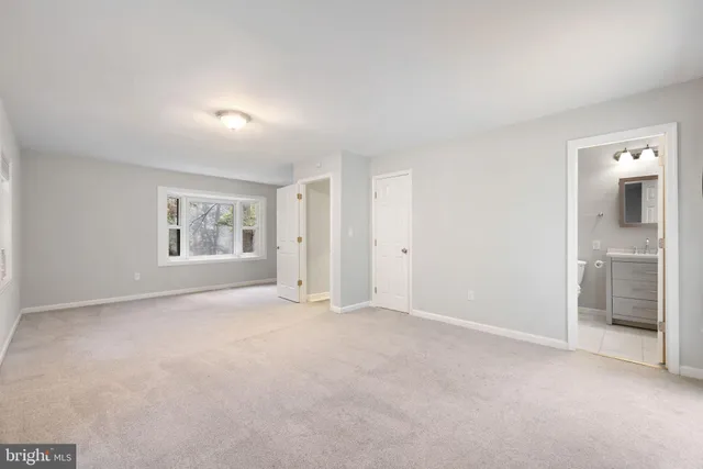 a view of a bunch of trees and bushes