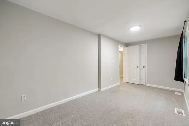 a view of a yard with plants and large trees