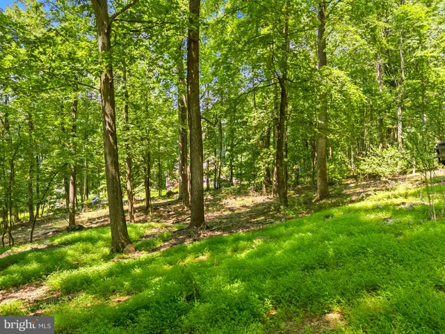 $368,000 | 247 Marsden Heights Road, Linden, VA 22642