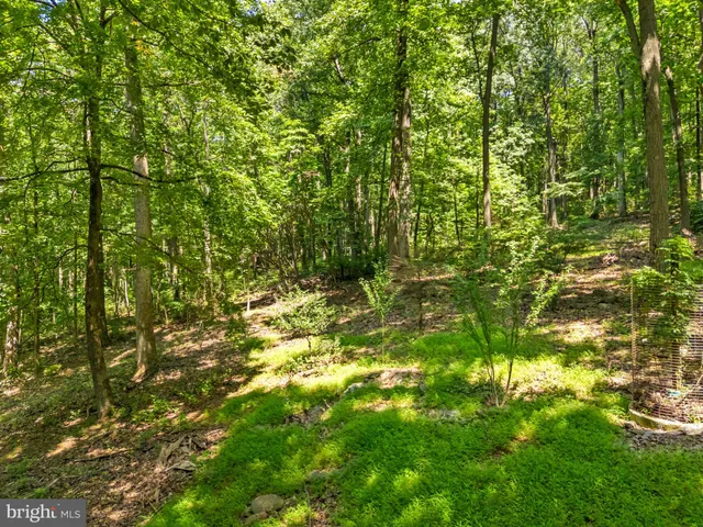 $368,000 | 247 Marsden Heights Road, Linden, VA 22642