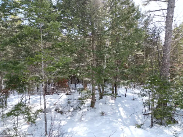 $33,000 | 14 Twin Spgs Lane, Lincoln, ME 04457