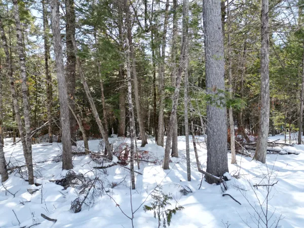 $33,000 | 14 Twin Spgs Lane, Lincoln, ME 04457