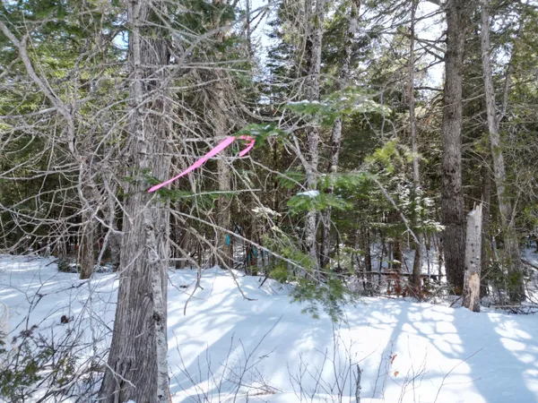 $33,000 | 14 Twin Spgs Lane, Lincoln, ME 04457