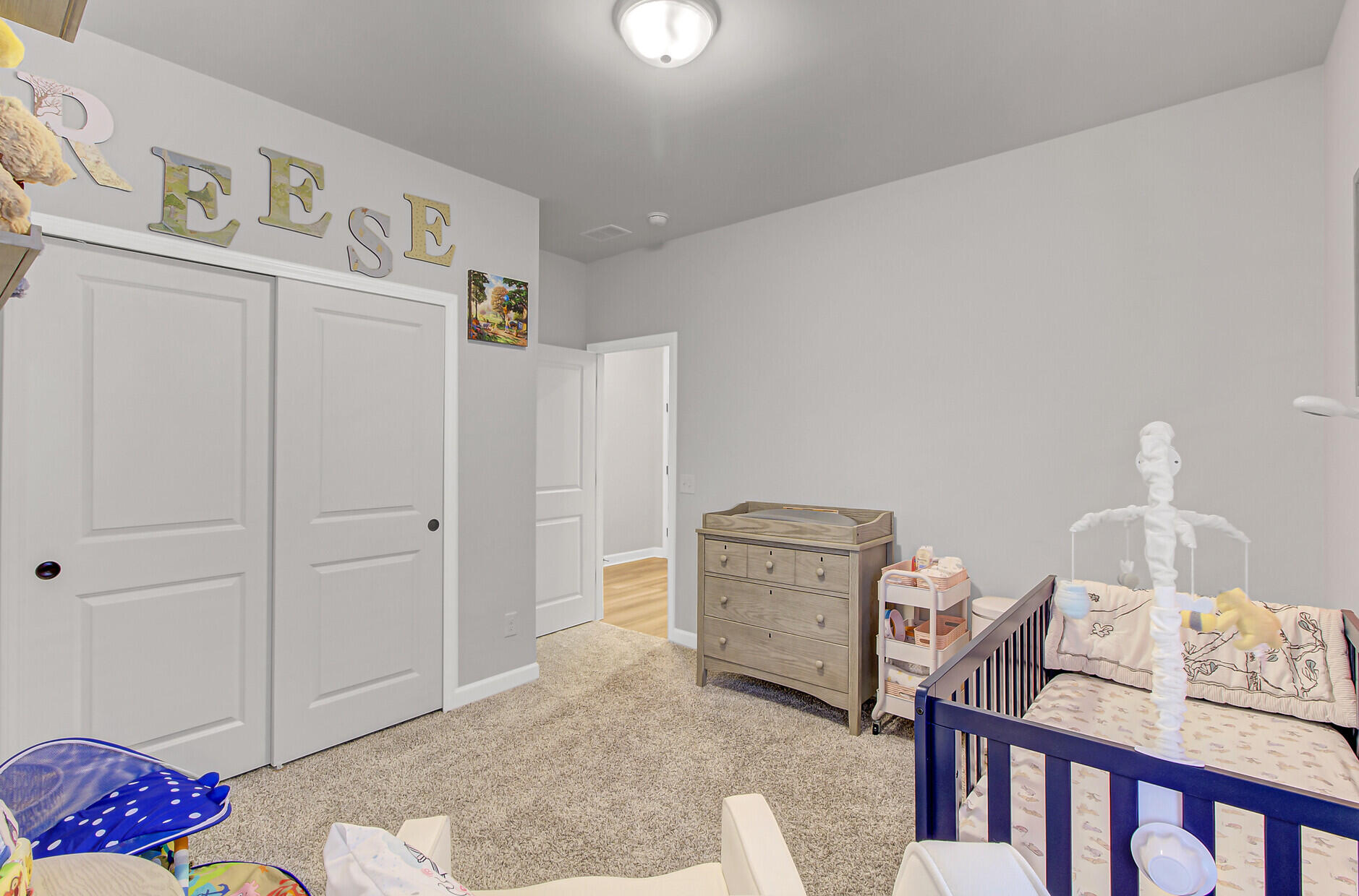 782 Sienna Way Summerville, SC 29486 - Photo 34 of 37 Bedroom 3