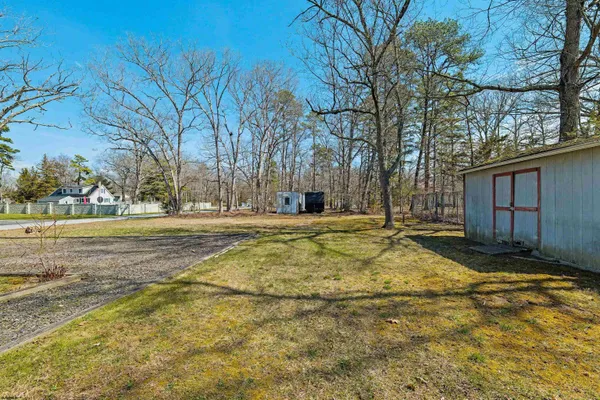 a view of yard with large trees