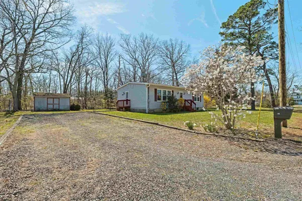 a view of a yard with large trees