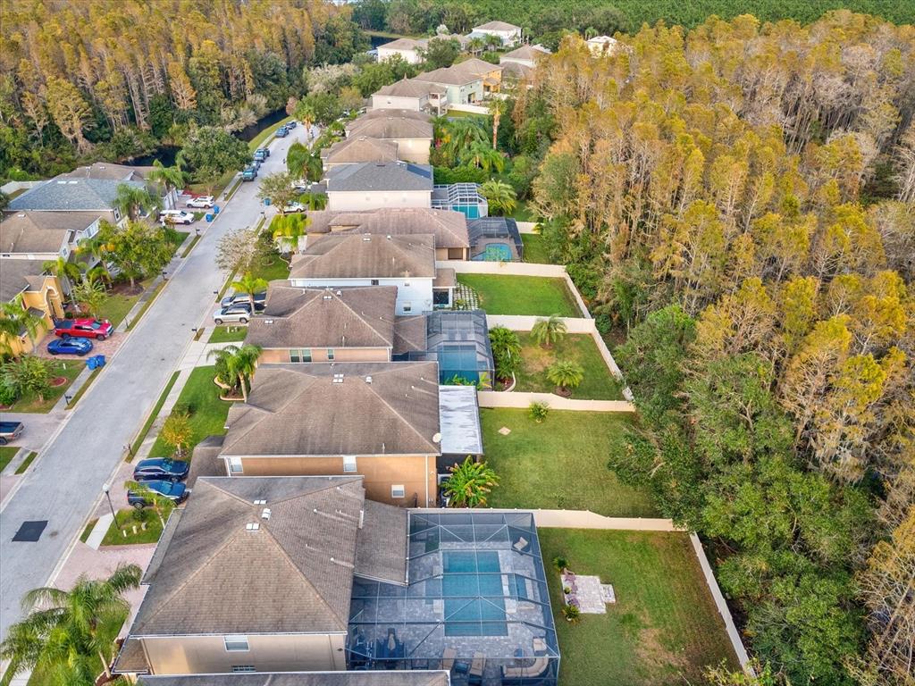 12830 Solola Way Trinity, FL 34655 - Photo 66 of 71 Gallery Image 66