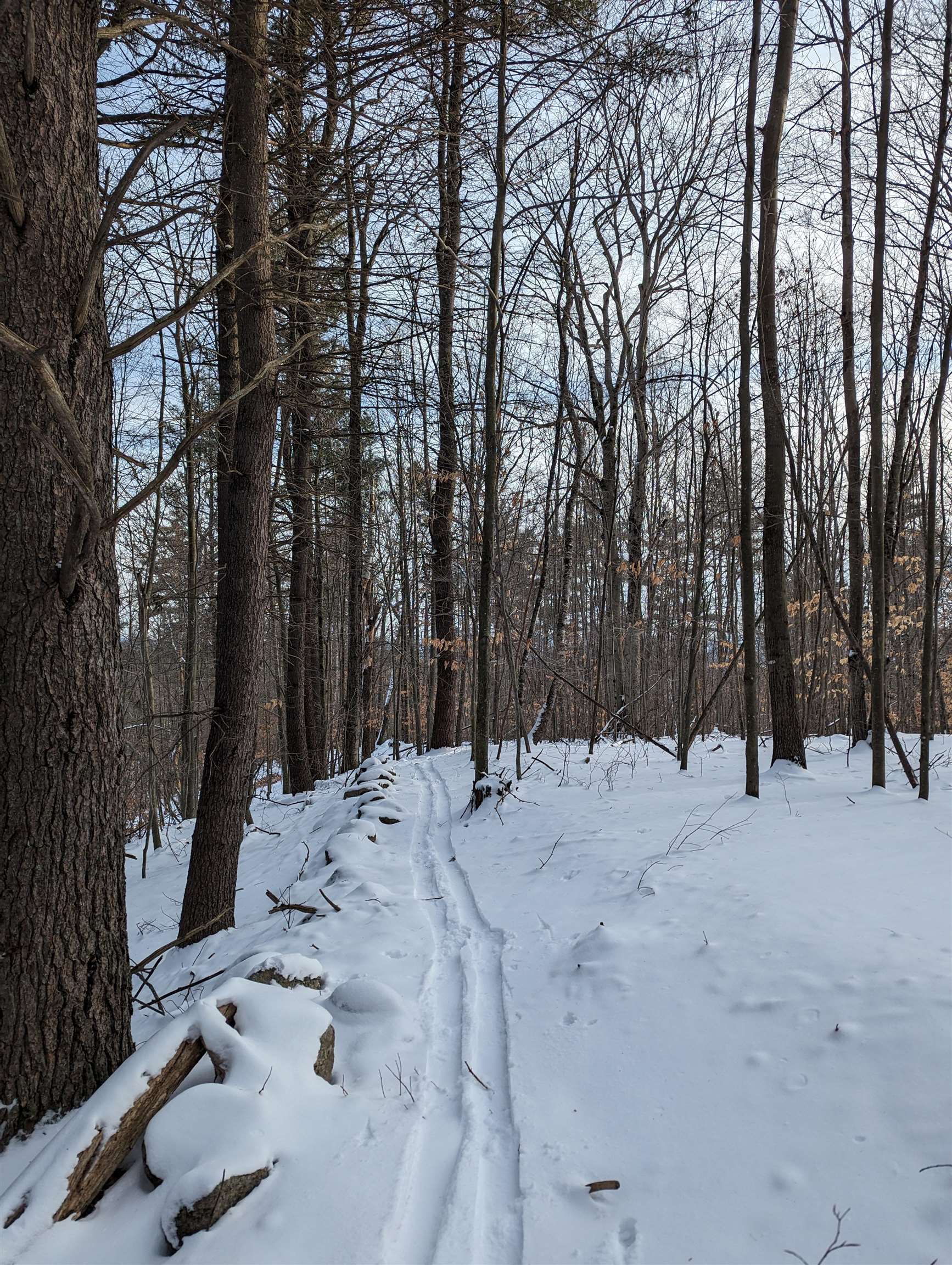 1520 Province Road, Unit TAX MAP 424 LOT 68 Gilmanton, NH 03237 - Photo 11 of 28