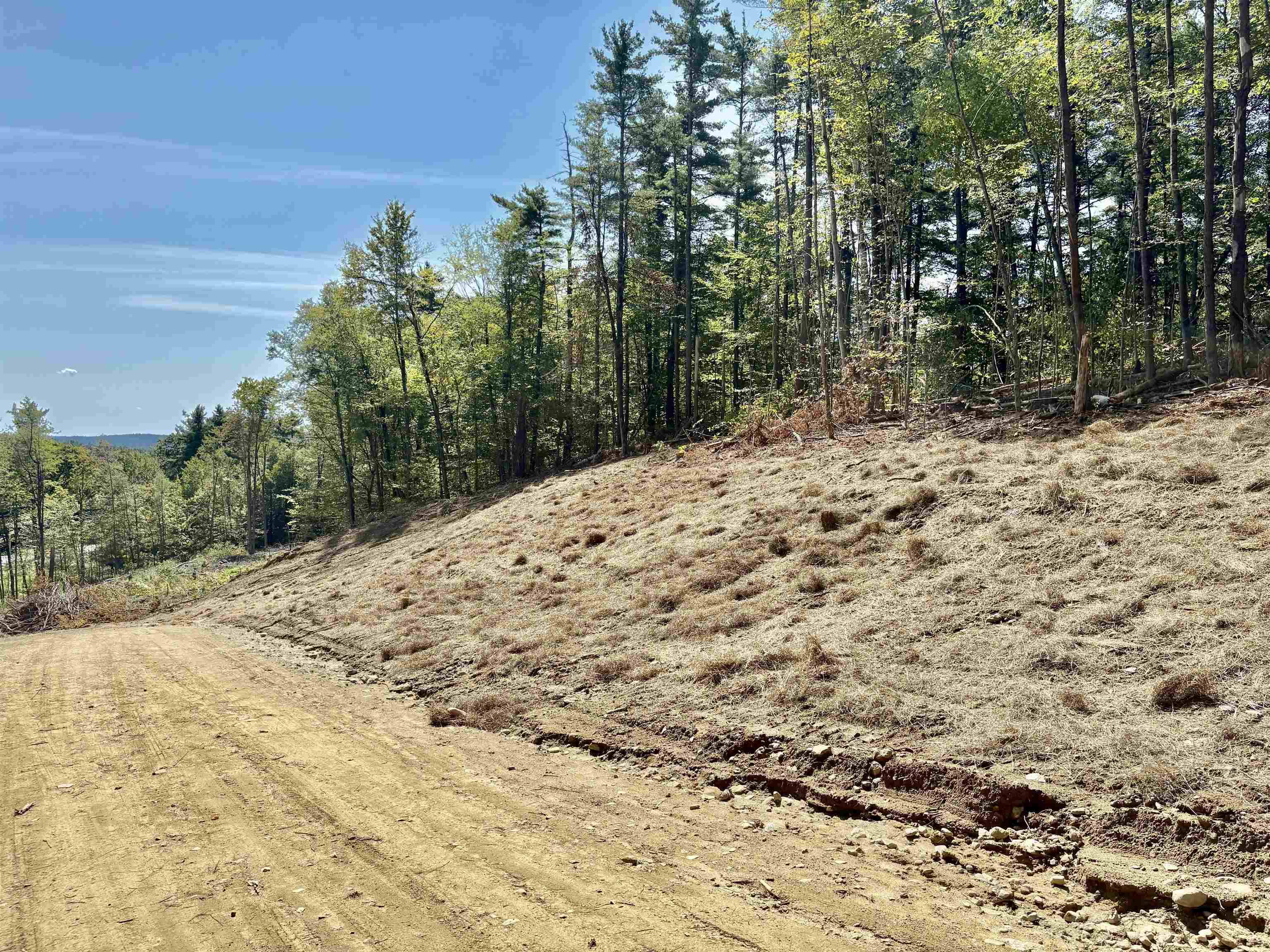 1520 Province Road, Unit TAX MAP 424 LOT 68 Gilmanton, NH 03237 - Photo 14 of 28