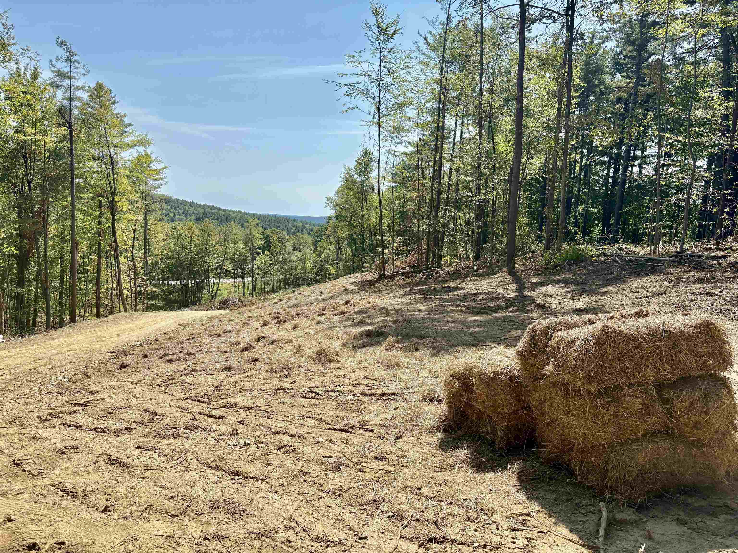 1520 Province Road, Unit TAX MAP 424 LOT 68 Gilmanton, NH 03237 - Photo 15 of 28