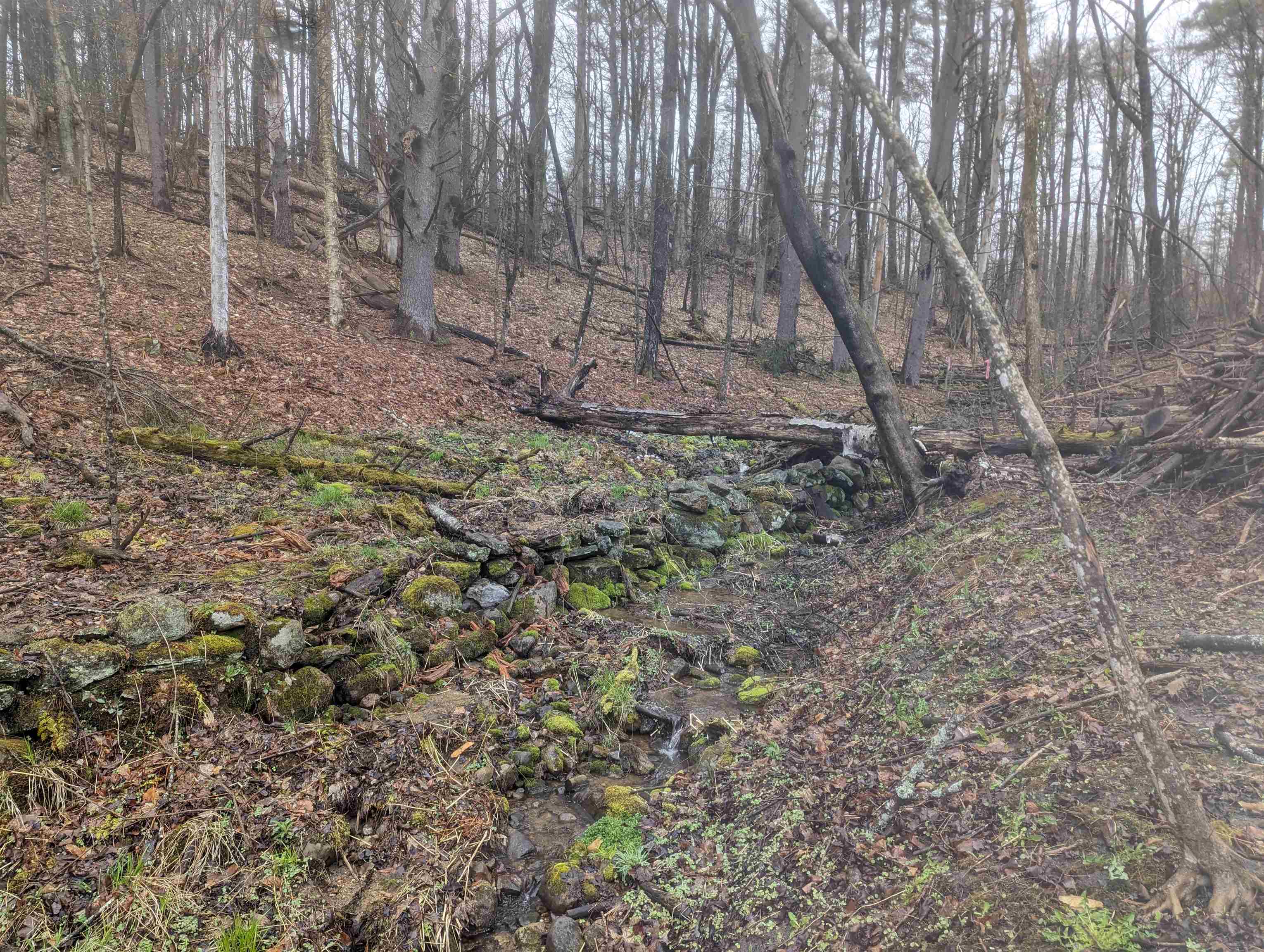 1520 Province Road, Unit TAX MAP 424 LOT 68 Gilmanton, NH 03237 - Photo 23 of 28