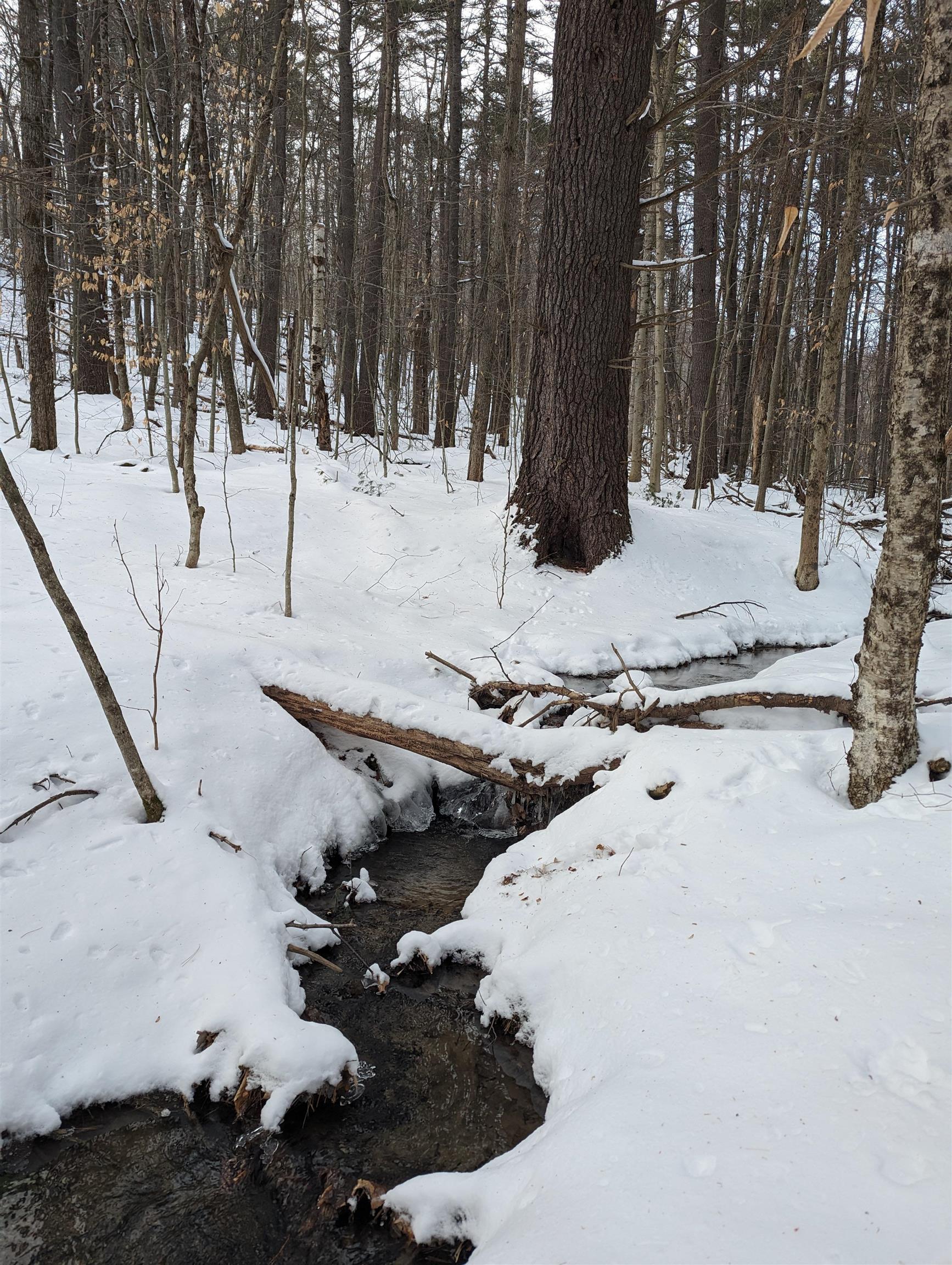 1520 Province Road, Unit TAX MAP 424 LOT 68 Gilmanton, NH 03237 - Photo 10 of 28