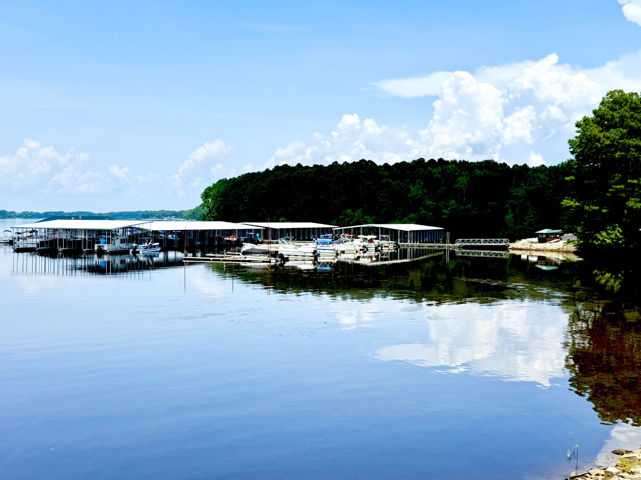 1520 Old Springville Road Springville, TN 38256 - Photo 15 of 16 a view of boat and lake
