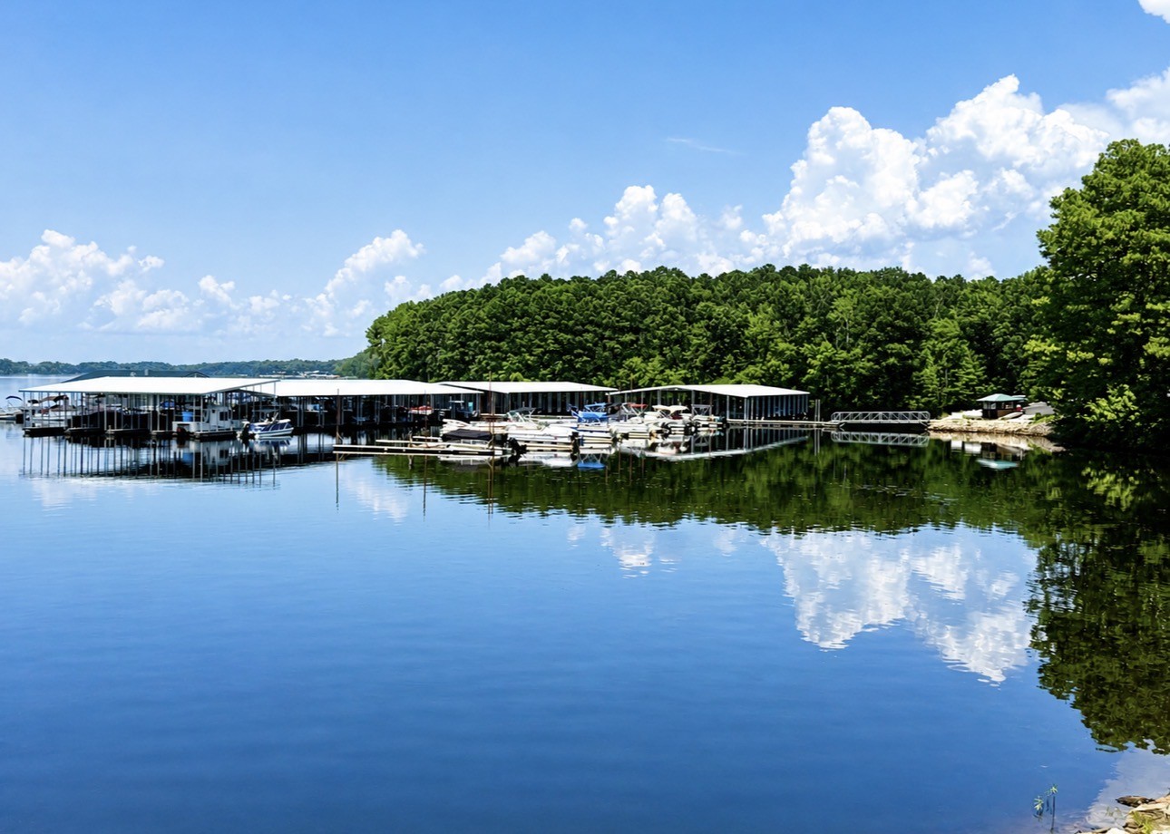 1520 Old Springville Road Springville, TN 38256 - Photo 22 of 22 a view of a lake with a city