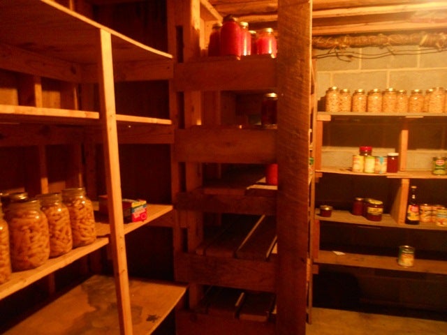 Reynolds Subdivision Road Frankford, WV 24938 - Photo 35 of 50 Basement Fruit Cellar