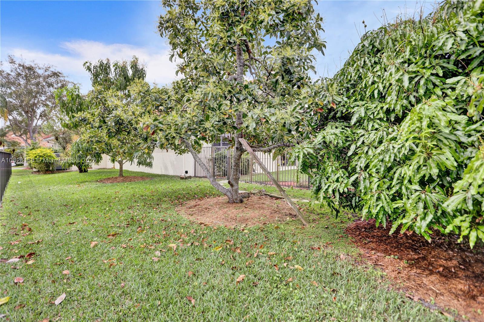 390 Alexandra Circle Weston, FL 33326 - Photo 51 of 71 a garden view