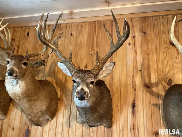 $1,475,000 | 1501 Duncan Road, Stonefort, IL 62987