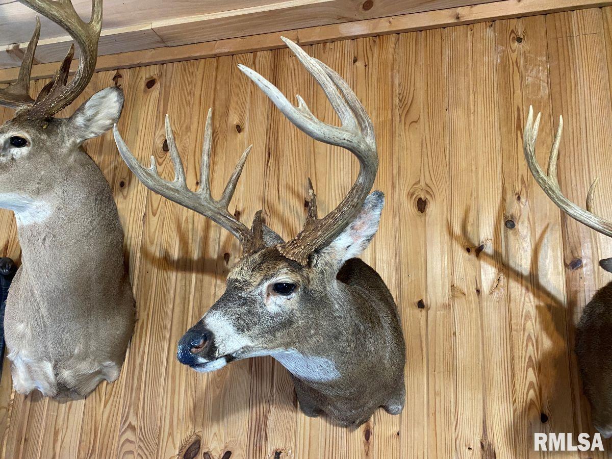 1501 Duncan Road Stonefort, IL 62987 - Photo 14 of 100