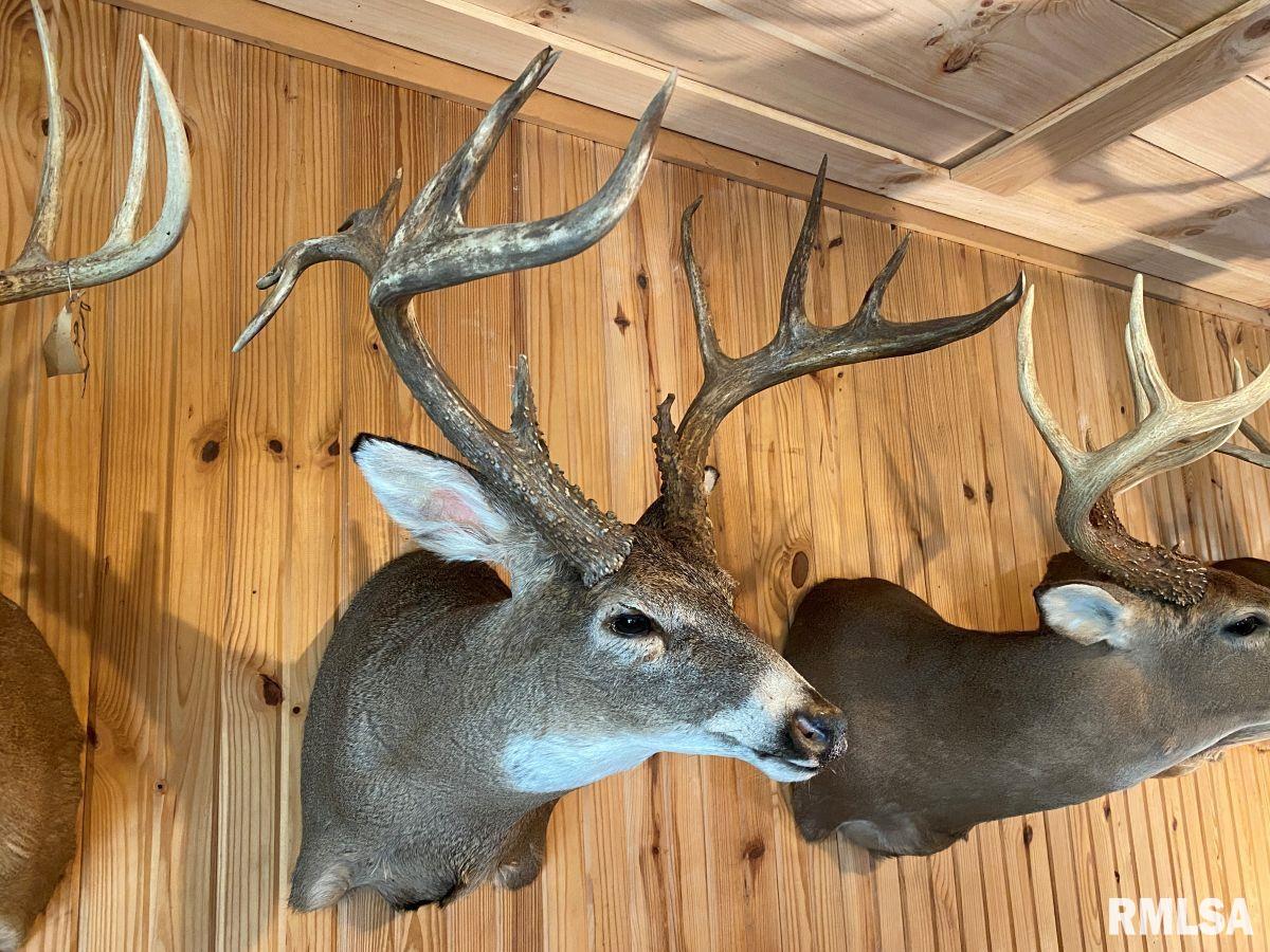 1501 Duncan Road Stonefort, IL 62987 - Photo 16 of 100