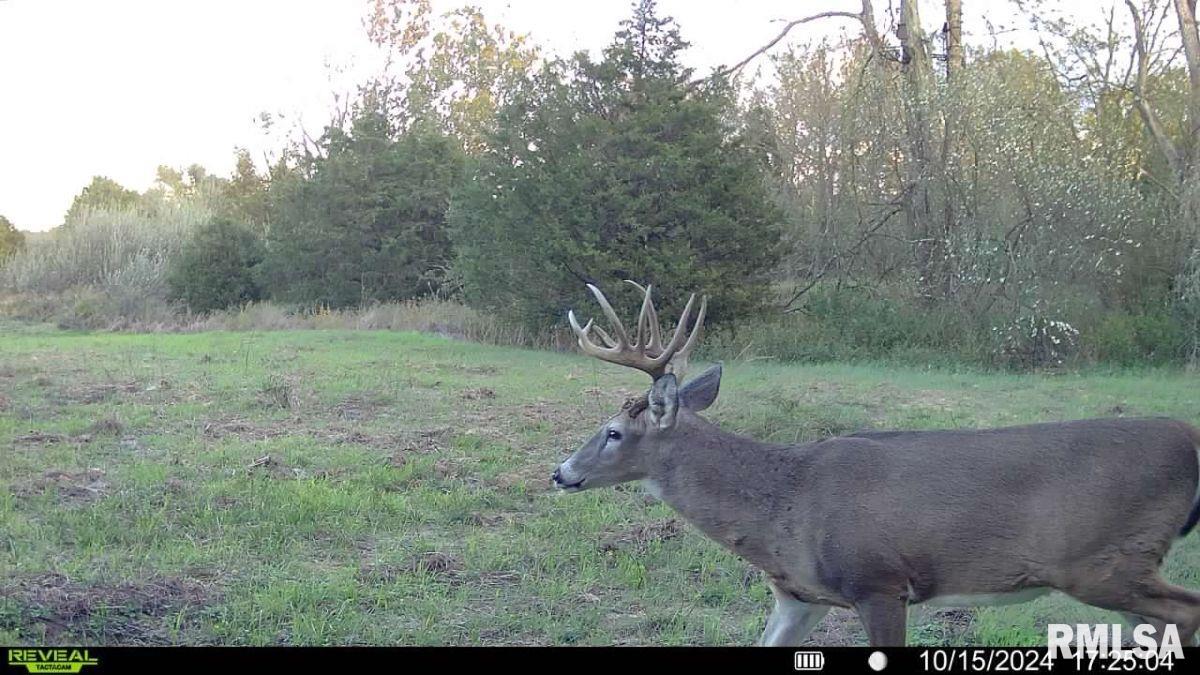 1501 Duncan Road Stonefort, IL 62987 - Photo 17 of 100