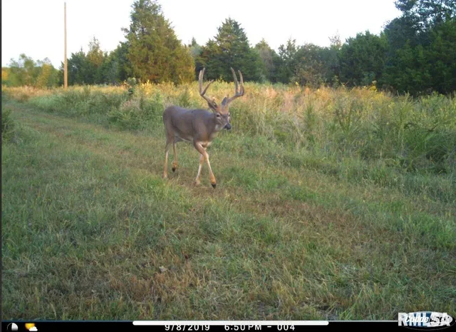 $1,475,000 | 1501 Duncan Road, Stonefort, IL 62987