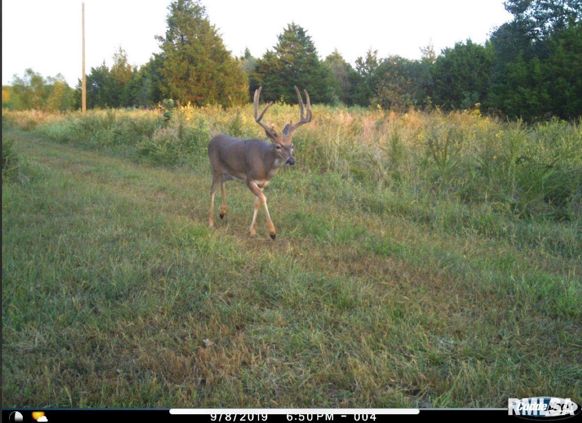 1501 Duncan Road Stonefort, IL 62987 - Photo 19 of 100
