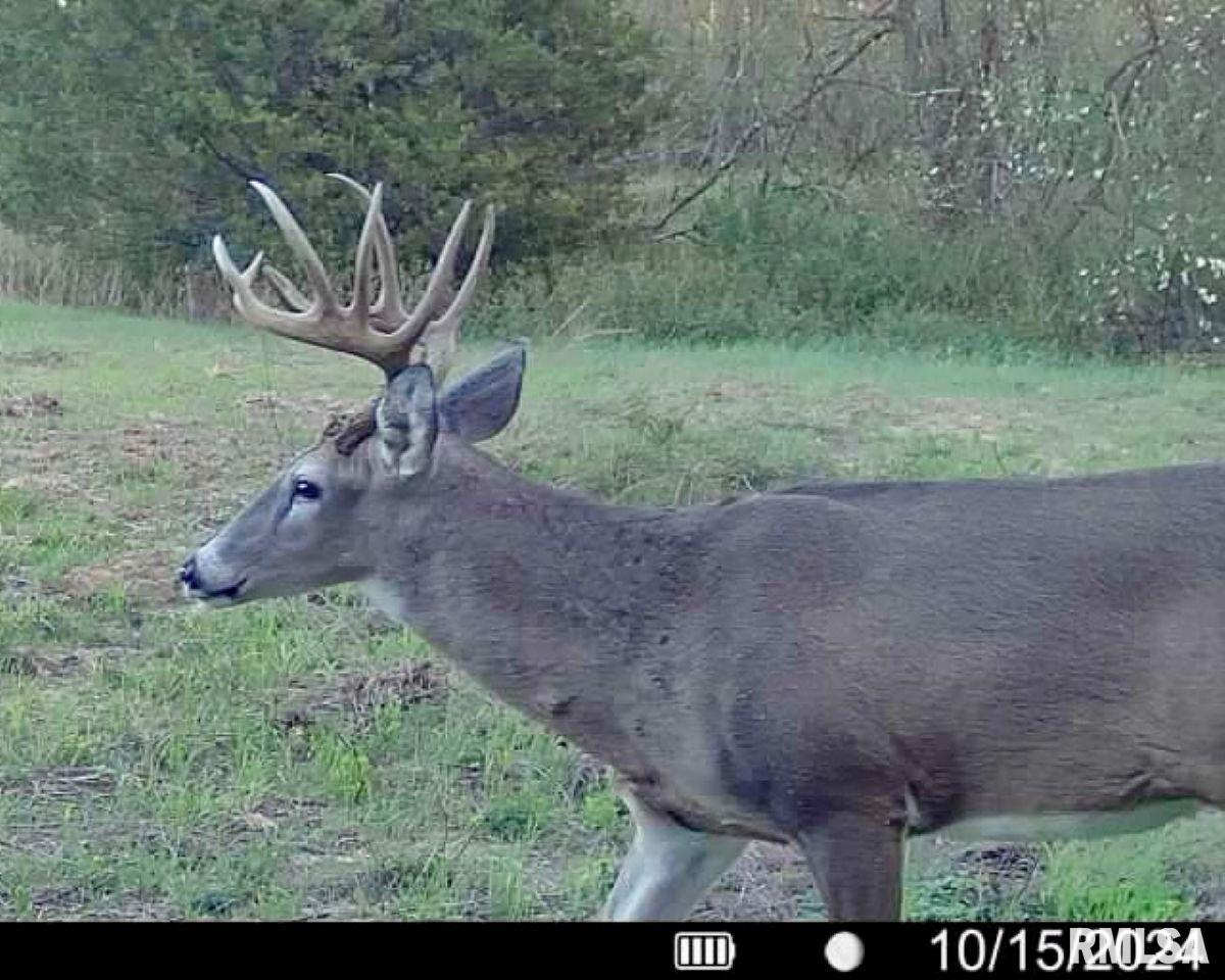 1501 Duncan Road Stonefort, IL 62987 - Photo 20 of 100