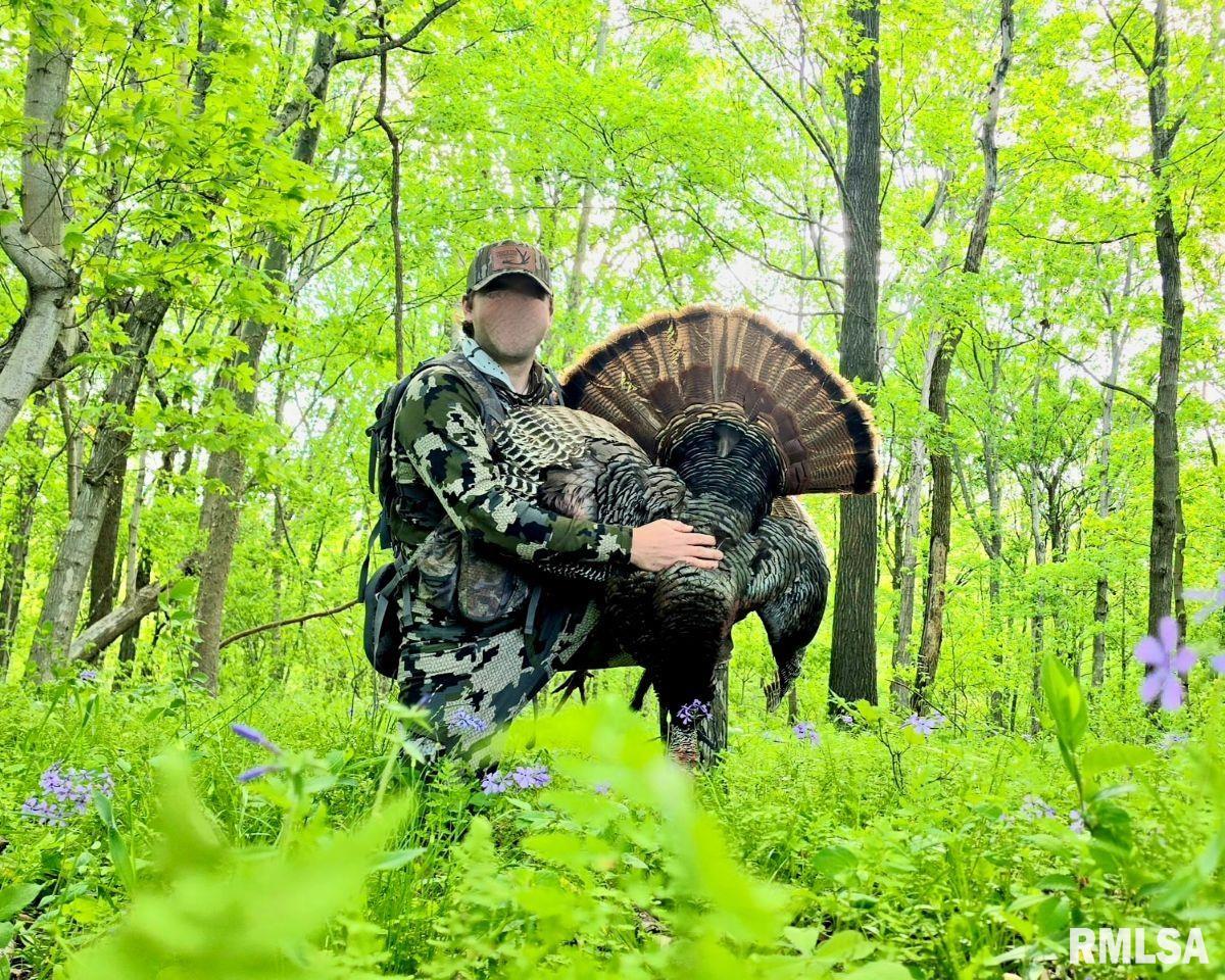 1501 Duncan Road Stonefort, IL 62987 - Photo 37 of 100