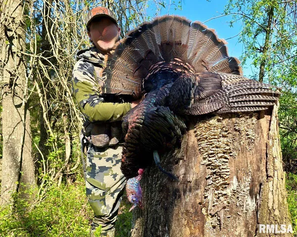 $1,475,000 | 1501 Duncan Road, Stonefort, IL 62987