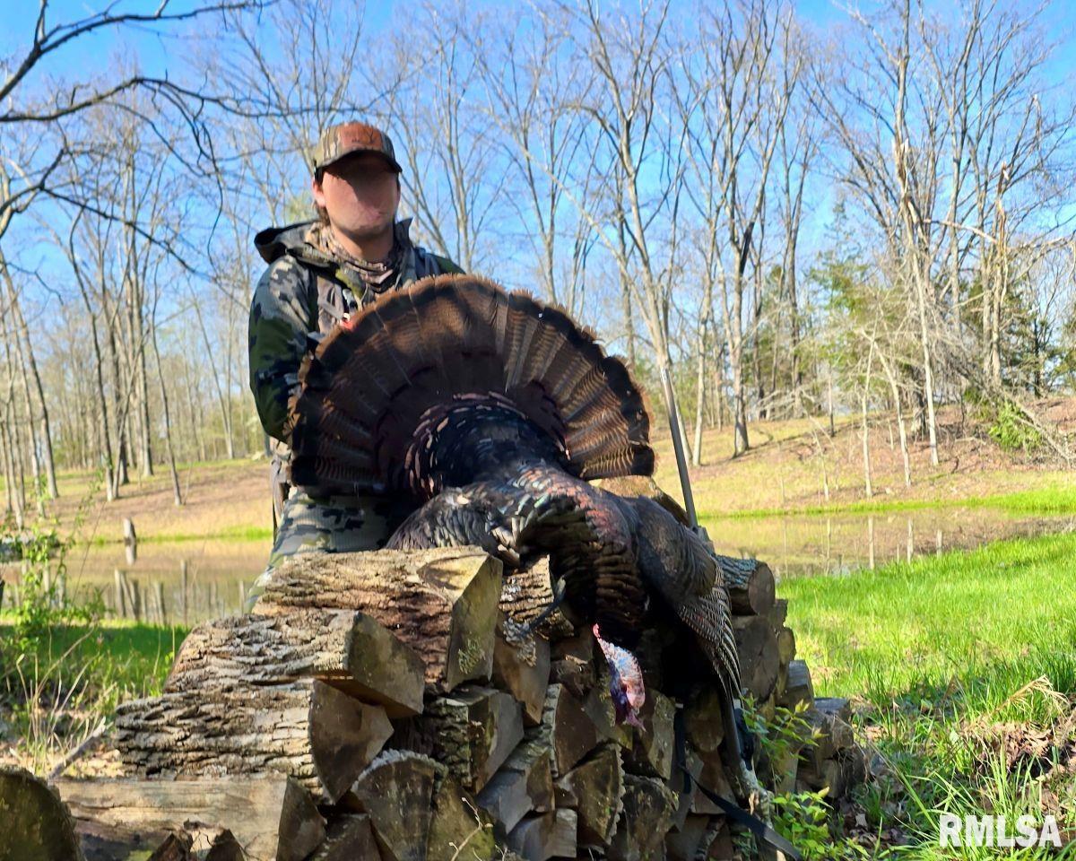 1501 Duncan Road Stonefort, IL 62987 - Photo 39 of 100