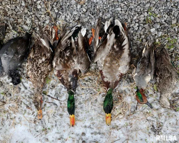 $1,475,000 | 1501 Duncan Road, Stonefort, IL 62987