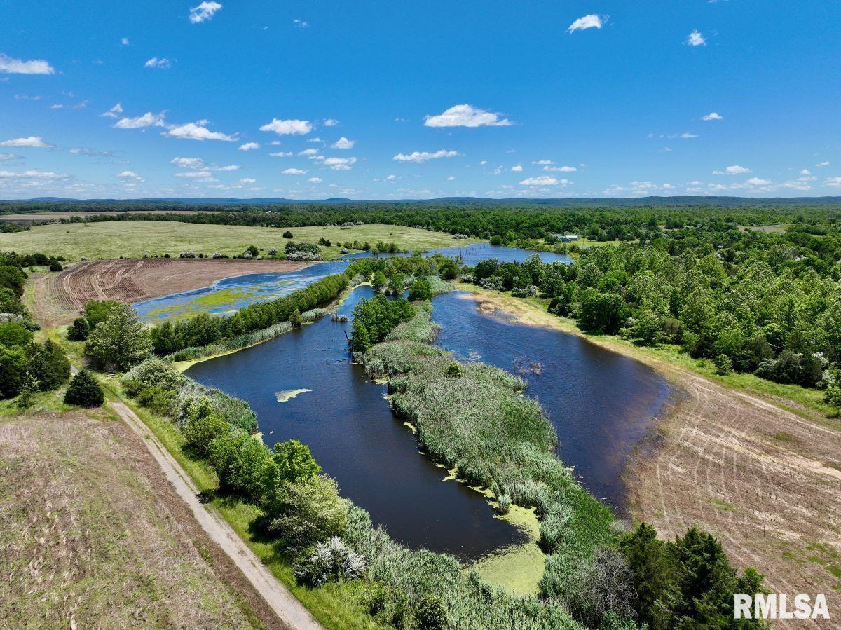 1501 Duncan Road Stonefort, IL 62987 - Photo 43 of 100