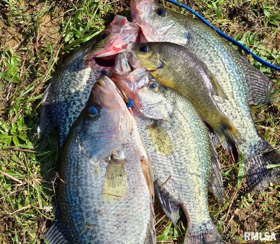 $1,475,000 | 1501 Duncan Road, Stonefort, IL 62987