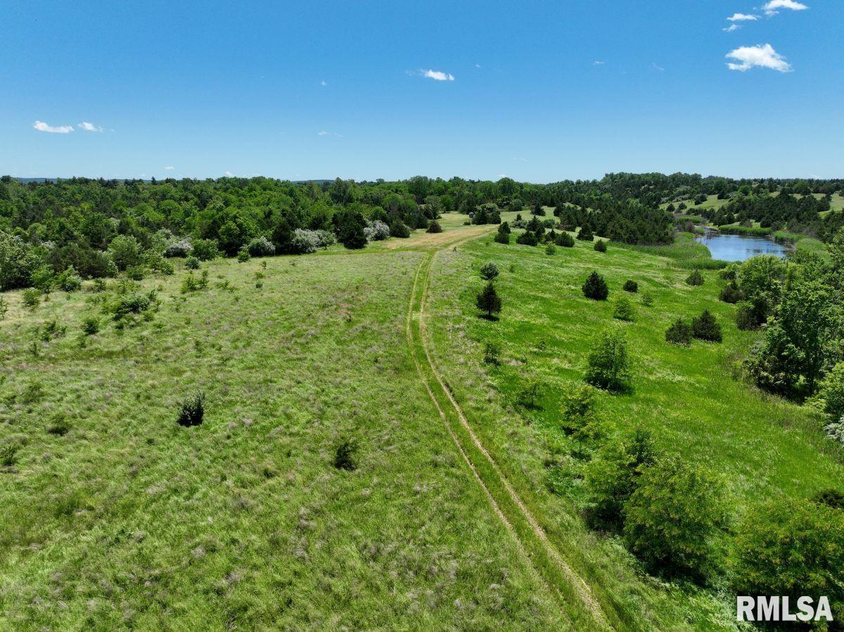 1501 Duncan Road Stonefort, IL 62987 - Photo 56 of 100