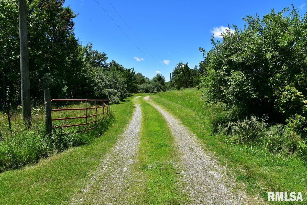 1501 Duncan Road Stonefort, IL 62987 - Photo 60 of 100