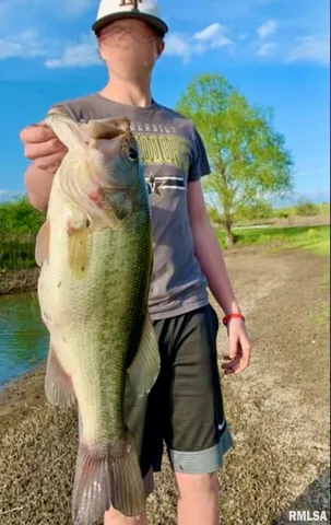 $1,475,000 | 1501 Duncan Road, Stonefort, IL 62987