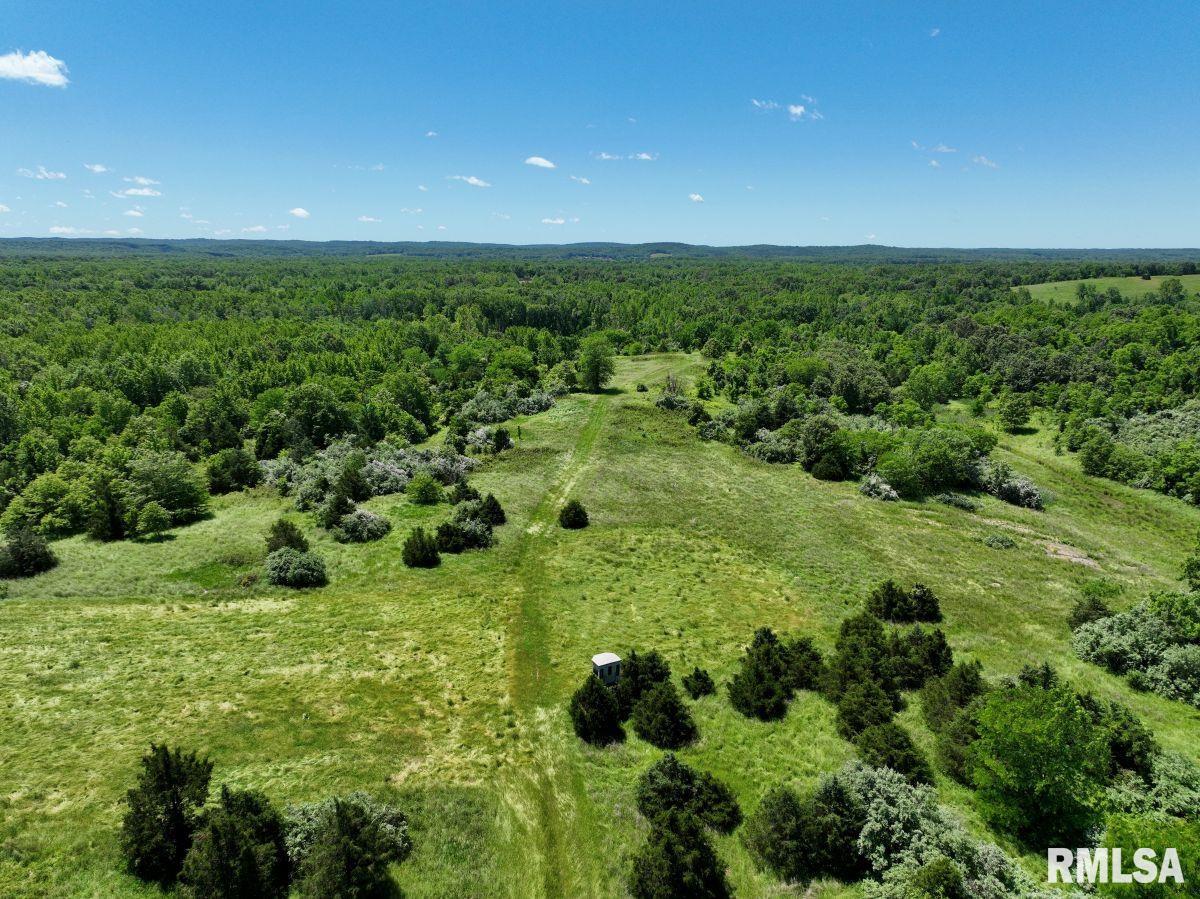 1501 Duncan Road Stonefort, IL 62987 - Photo 69 of 100