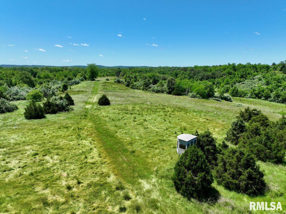 1501 Duncan Road Stonefort, IL 62987 - Photo 70 of 100