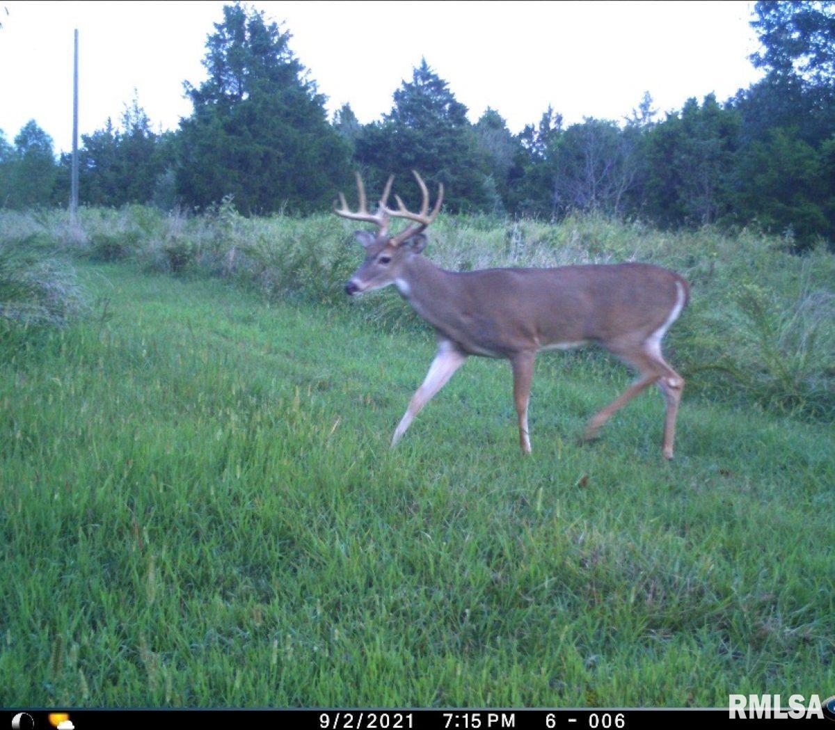 1501 Duncan Road Stonefort, IL 62987 - Photo 72 of 100