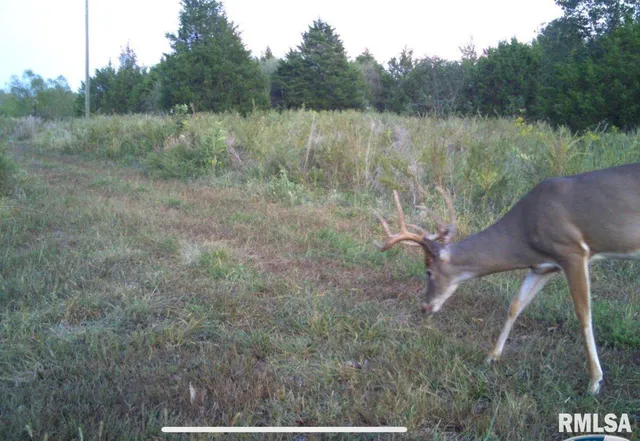 $1,475,000 | 1501 Duncan Road, Stonefort, IL 62987