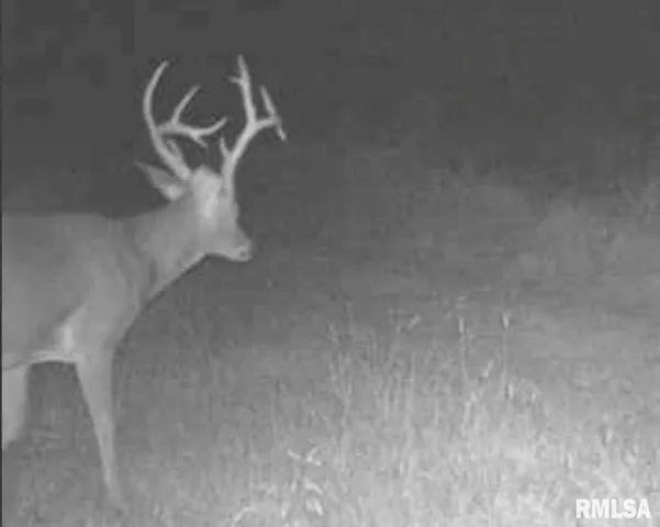 $1,475,000 | 1501 Duncan Road, Stonefort, IL 62987