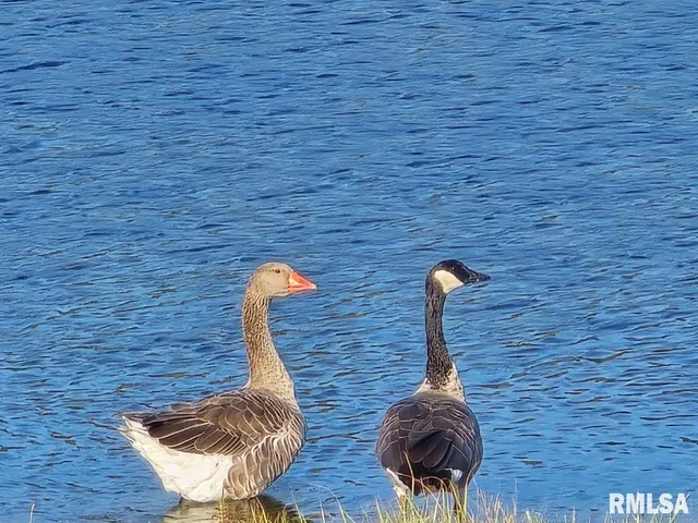 $1,475,000 | 1501 Duncan Road, Stonefort, IL 62987