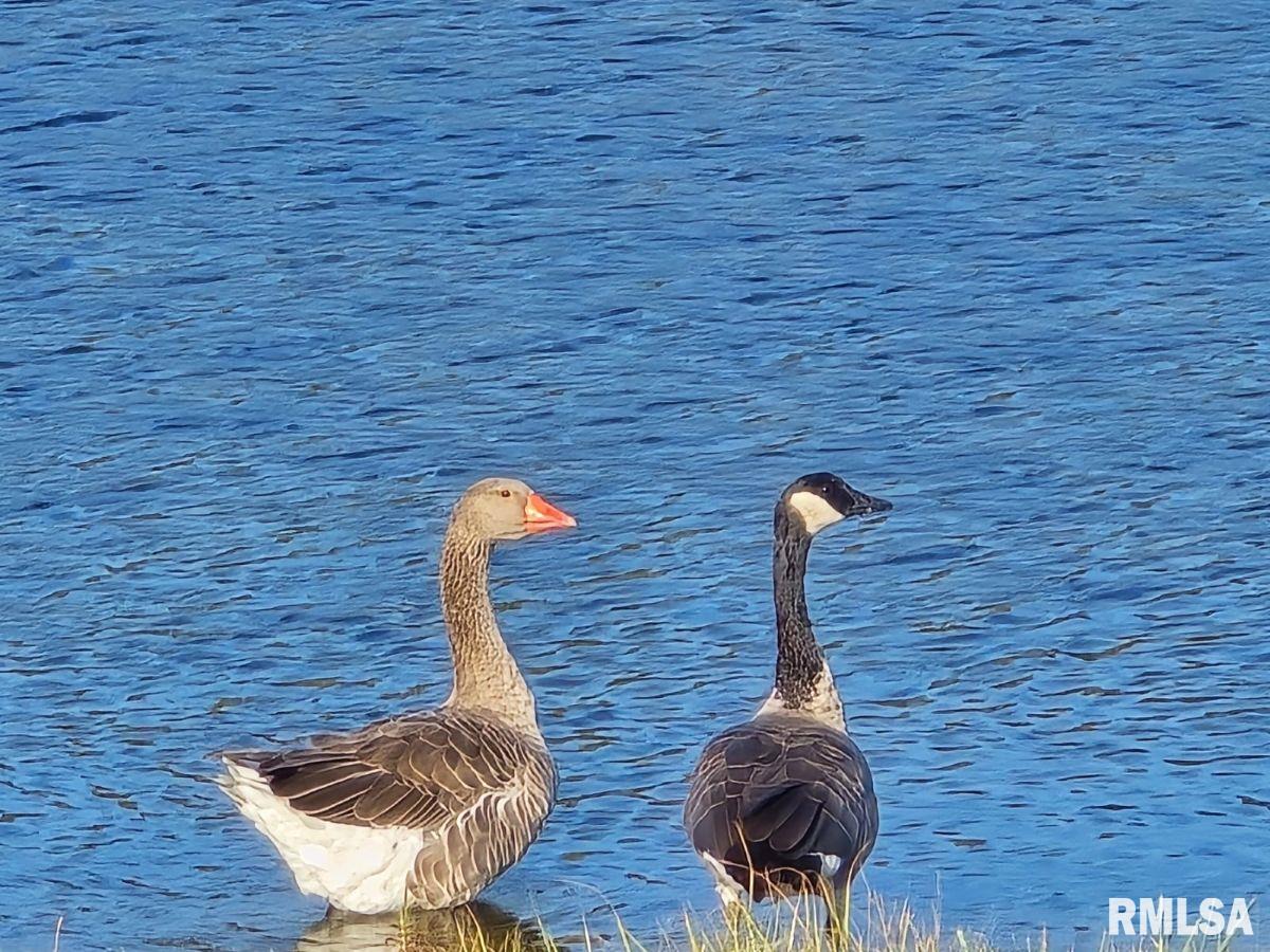 1501 Duncan Road Stonefort, IL 62987 - Photo 80 of 100