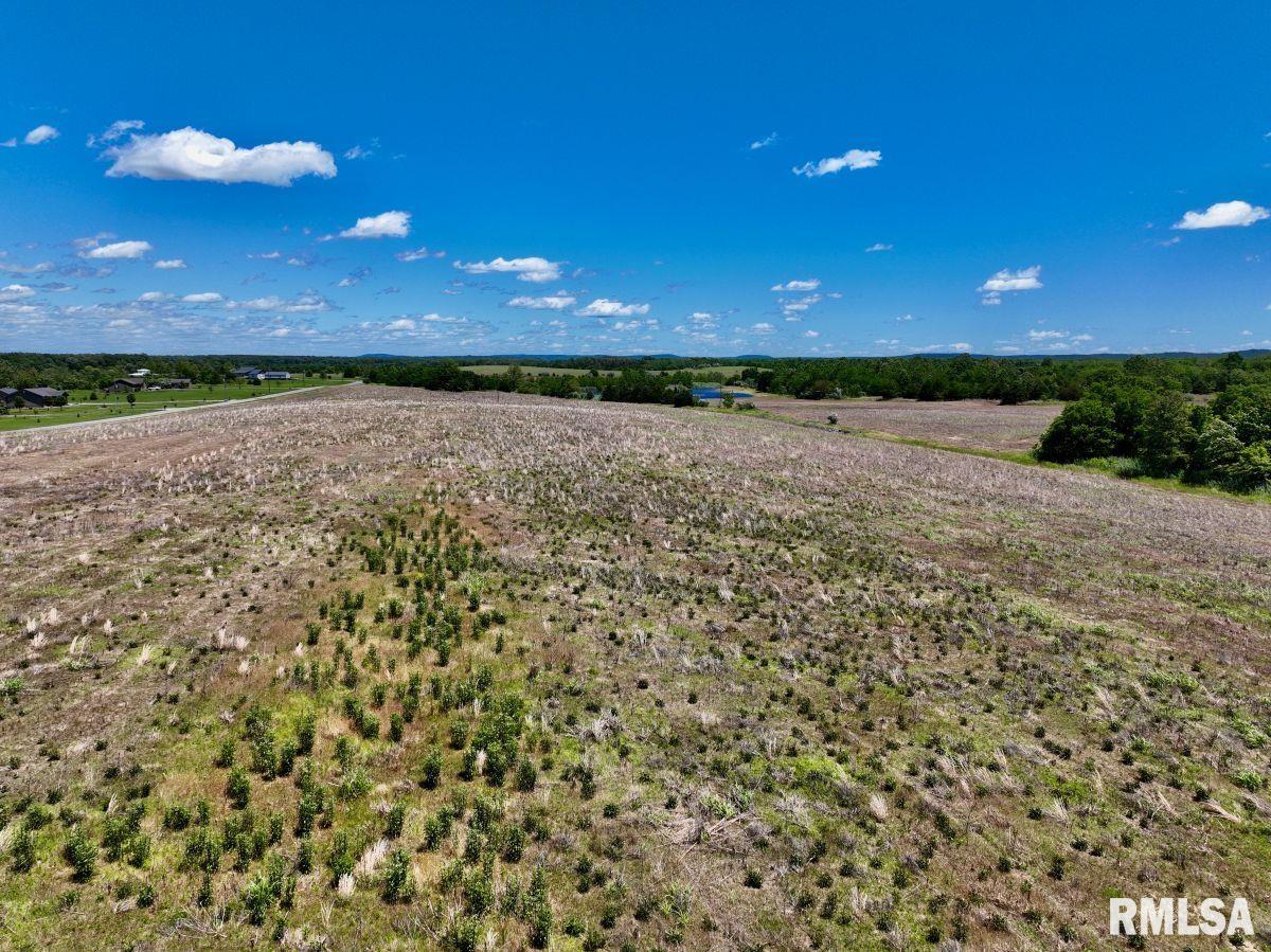 1501 Duncan Road Stonefort, IL 62987 - Photo 82 of 100