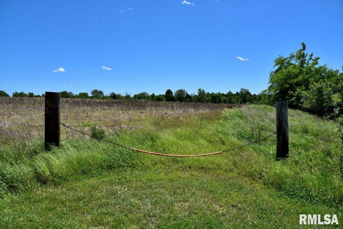 1501 Duncan Road Stonefort, IL 62987 - Photo 83 of 100