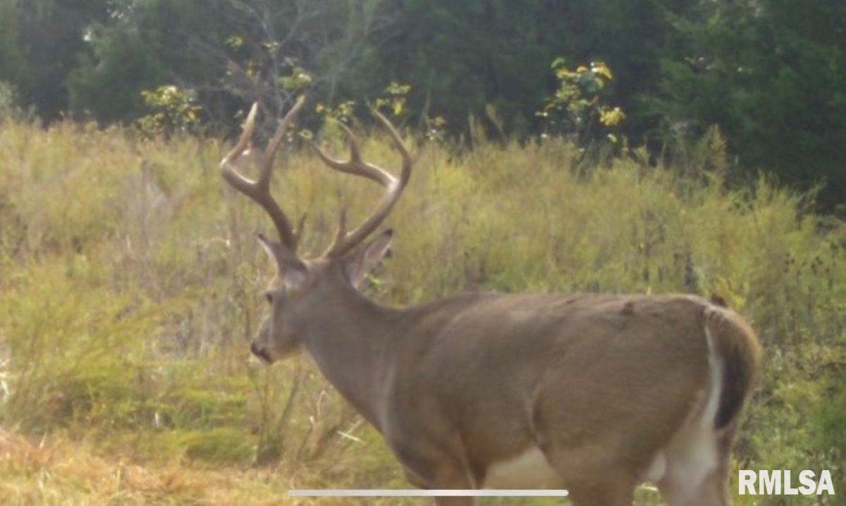 1501 Duncan Road Stonefort, IL 62987 - Photo 85 of 100