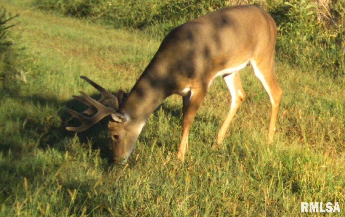 1501 Duncan Road Stonefort, IL 62987 - Photo 86 of 100