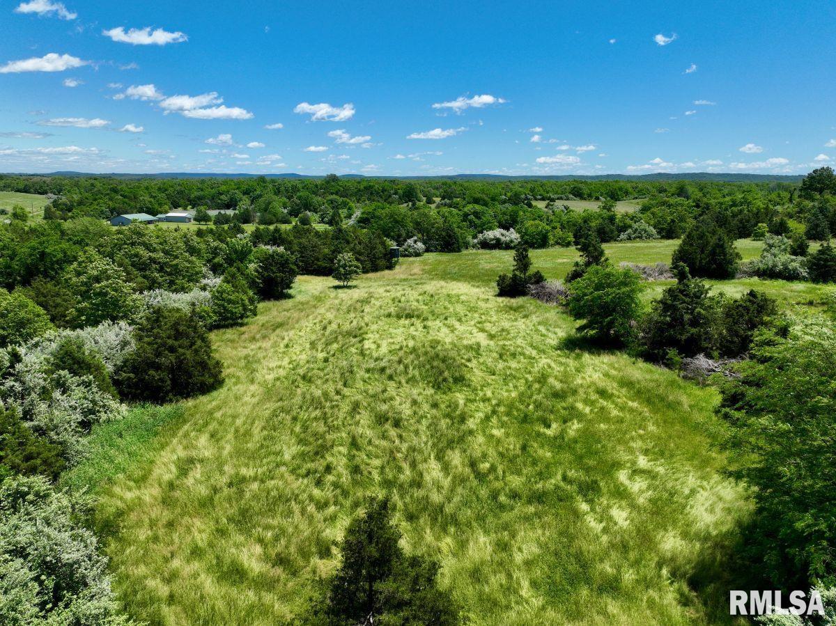 1501 Duncan Road Stonefort, IL 62987 - Photo 89 of 100