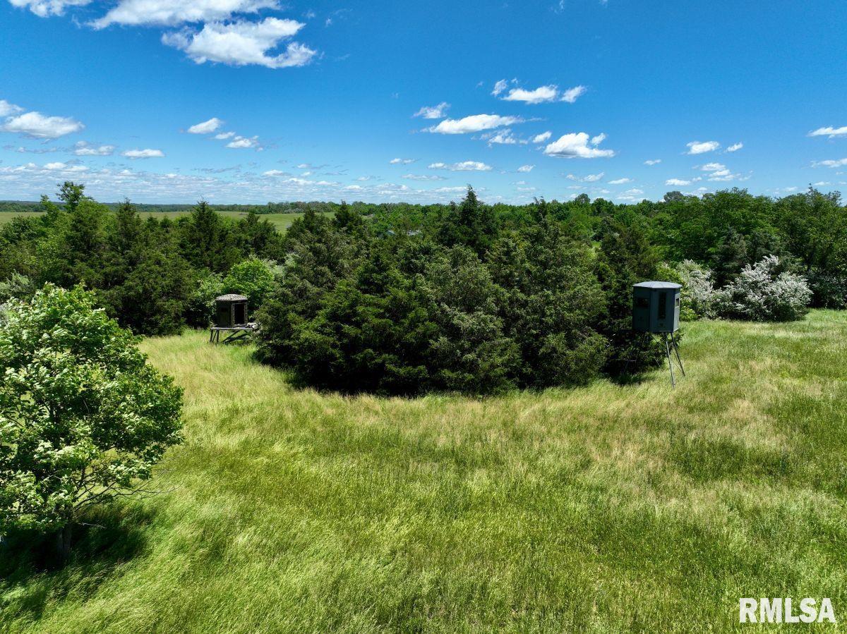 1501 Duncan Road Stonefort, IL 62987 - Photo 90 of 100